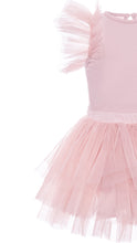 Load image into Gallery viewer, Soft Pink Tutu set