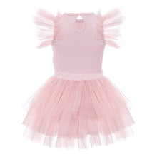 Load image into Gallery viewer, Soft Pink Tutu set