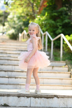 Load image into Gallery viewer, Soft Pink Tutu set