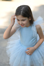 Load image into Gallery viewer, Cool Blue Tutu set