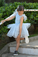 Load image into Gallery viewer, Cool Blue Tutu set