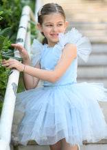 Load image into Gallery viewer, Cool Blue Tutu set