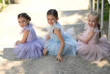 Load image into Gallery viewer, Lilac Tutu set