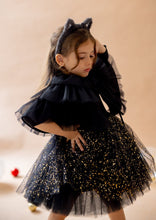 Load image into Gallery viewer, Black Swan