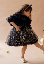 Load image into Gallery viewer, Black Swan