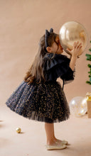 Load image into Gallery viewer, Black Swan