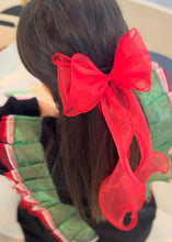 Load image into Gallery viewer, Organza Long Clips