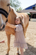 Load image into Gallery viewer, Misk Pom-Pom Dress
