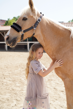 Load image into Gallery viewer, Misk Pom-Pom Dress