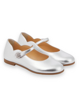 Load image into Gallery viewer, Silver Glint