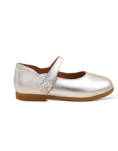 Load image into Gallery viewer, Silver Glint