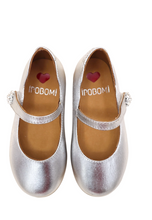 Load image into Gallery viewer, Silver Glint