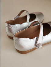 Load image into Gallery viewer, Silver Glint