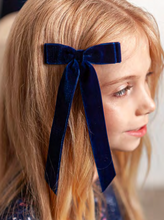 Load image into Gallery viewer, Velvet Long Clips