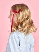 Load image into Gallery viewer, Duo Long Clips