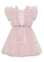 Load image into Gallery viewer, Pink Chicca Dress
