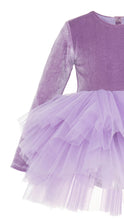 Load image into Gallery viewer, Lilac Velvet
