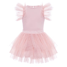 Load image into Gallery viewer, Soft Pink Tutu set
