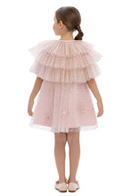Load image into Gallery viewer, Pink Sparkle Dress with Cape
