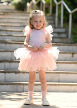 Load image into Gallery viewer, Soft Pink Tutu set
