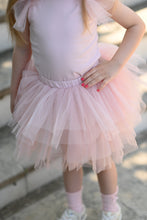 Load image into Gallery viewer, Soft Pink Tutu set
