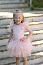 Load image into Gallery viewer, Soft Pink Tutu set
