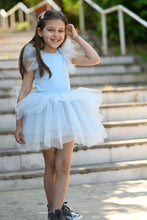 Load image into Gallery viewer, Cool Blue Tutu set
