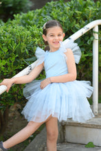 Load image into Gallery viewer, Cool Blue Tutu set
