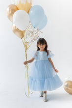 Load image into Gallery viewer, Frozen Tulle Dress
