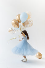 Load image into Gallery viewer, Frozen Tulle Dress
