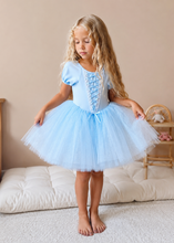 Load image into Gallery viewer, Blue Cinderella

