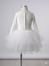 Load image into Gallery viewer, Velvet Dream Tutu Dress
