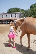 Load image into Gallery viewer, Barbie Pink Skirt
