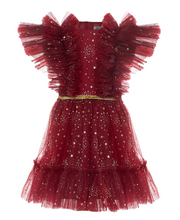 Load image into Gallery viewer, Burgundy Chicca Dress
