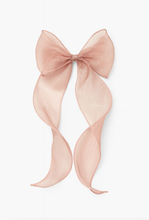 Load image into Gallery viewer, Organza Long Clips
