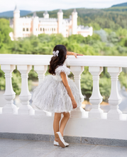 Load image into Gallery viewer, White Swan
