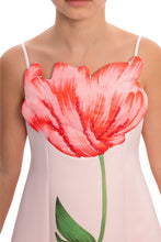 Load image into Gallery viewer, Pink Rose Dress
