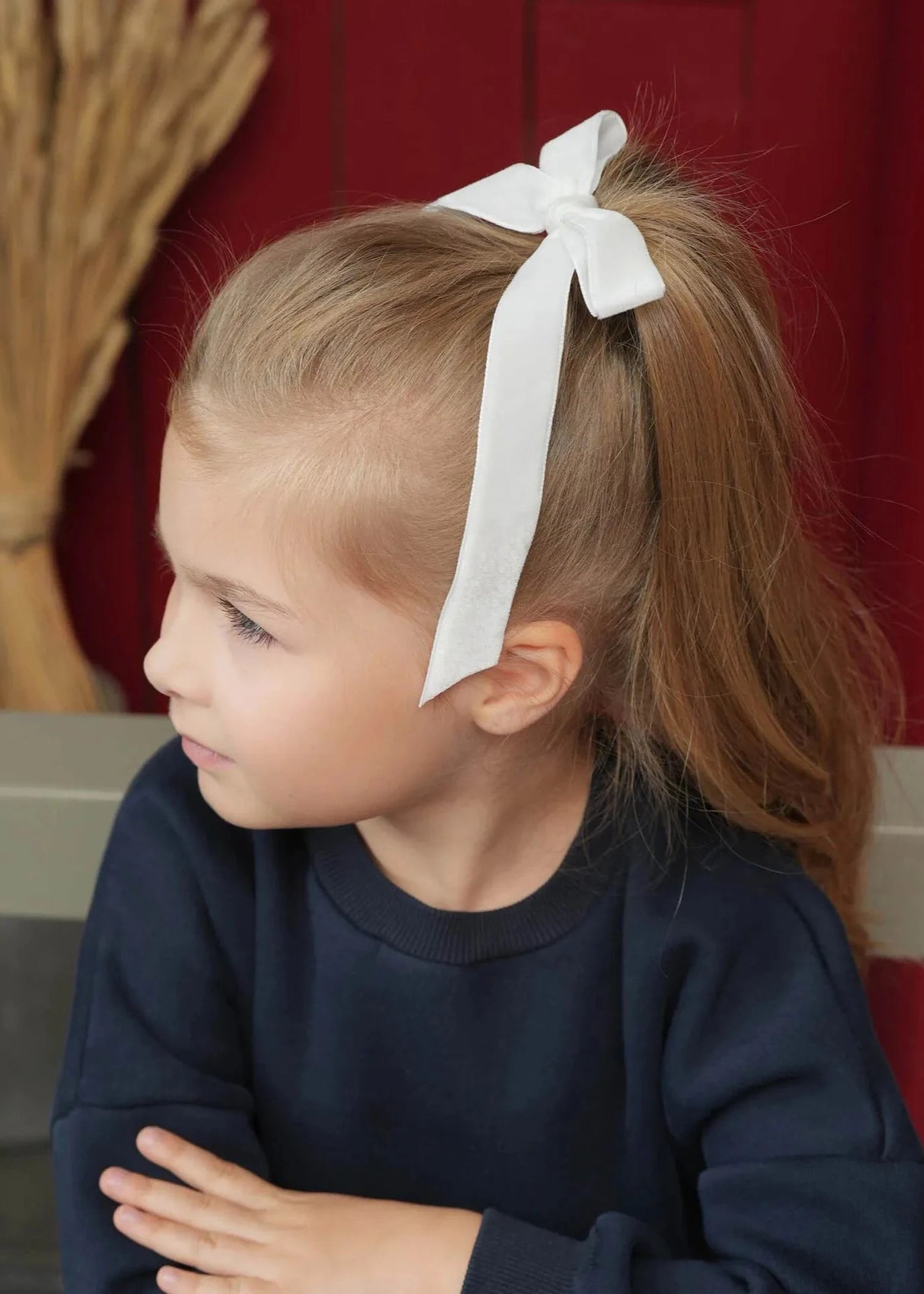 Velvet Long Clips